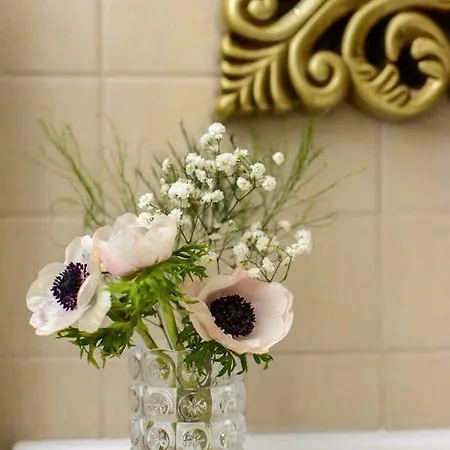 ドゥブロヴニク ファイネスト ドゥブロブニク